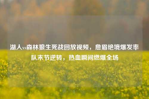 湖人vs森林狼生死战回放视频，詹眉绝境爆发率队末节逆转，热血瞬间燃爆全场
