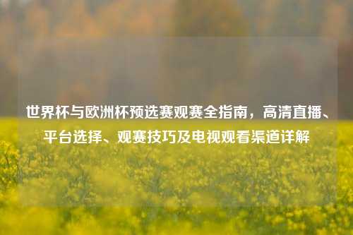 世界杯与欧洲杯预选赛观赛全指南,高清直播、平台选择、观赛技巧及电视观看渠道详解