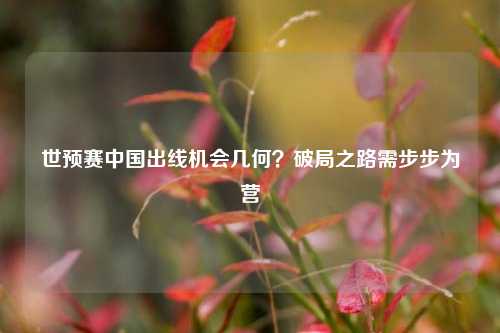 世预赛中国出线机会几何？破局之路需步步为营