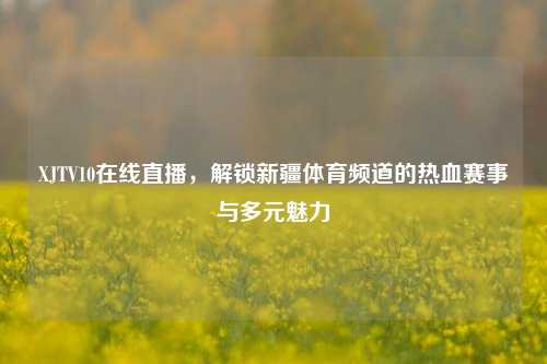 XJTV10在线直播,解锁新疆体育频道的热血赛事与多元魅力