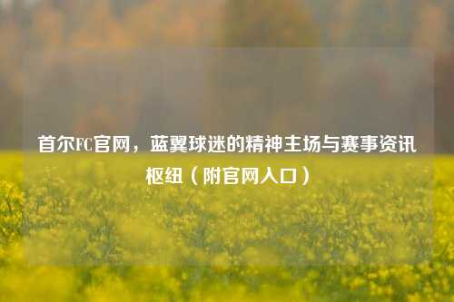 首尔FC官网，蓝翼球迷的精神主场与赛事资讯枢纽（附官网入口）