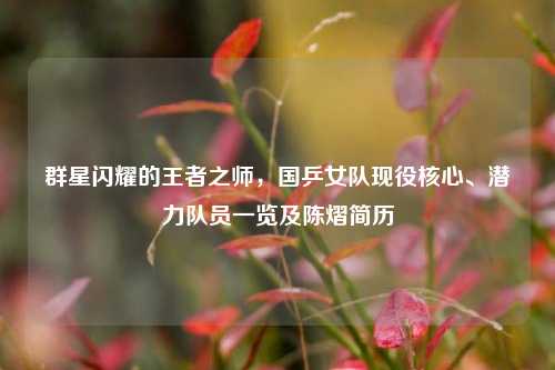 群星闪耀的王者之师，国乒女队现役核心、潜力队员一览及陈熠简历