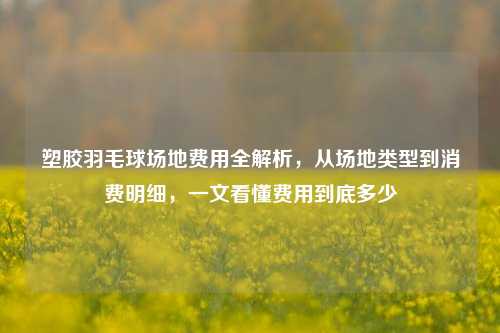 塑胶羽毛球场地费用全解析，从场地类型到消费明细，一文看懂费用到底多少