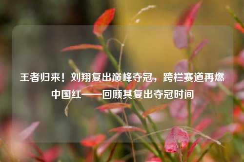 王者归来！刘翔复出巅峰夺冠，跨栏赛道再燃中国红——回顾其复出夺冠时间