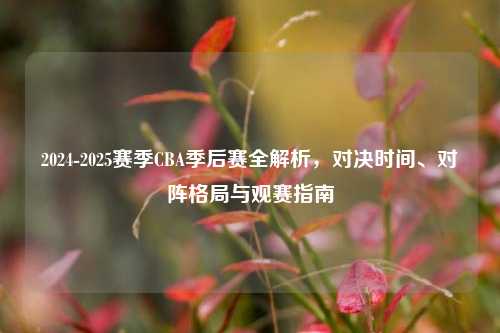 2024-2025赛季CBA季后赛全解析,对决时间、对阵格局与观赛指南