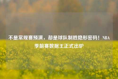 不是常规赛预演，却是球队制胜隐形密码！NBA季前赛数据王正式出炉