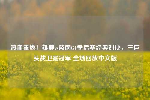 热血重燃!雄鹿vs篮网G1季后赛经典对决,三巨头战卫冕冠军 全场回放中文版