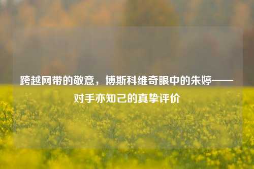 跨越网带的敬意，博斯科维奇眼中的朱婷——对手亦知己的真挚评价