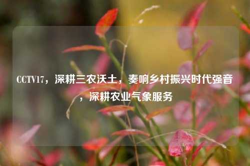 CCTV17，深耕三农沃土，奏响乡村振兴时代强音，深耕农业气象服务