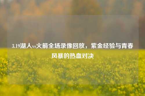 3.19湖人vs火箭全场录像回放,紫金经验与青春风暴的热血对决