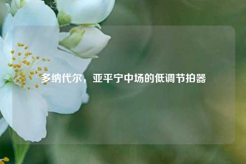 多纳代尔，亚平宁中场的低调节拍器