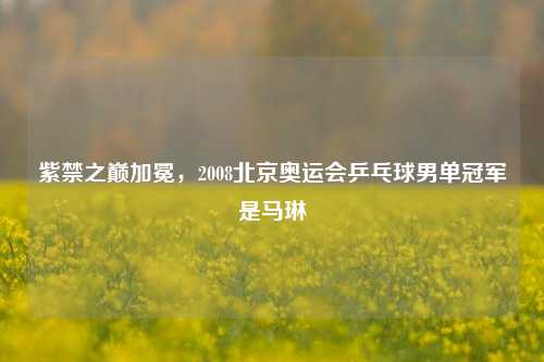 紫禁之巅加冕，2008北京奥运会乒乓球男单冠军是马琳