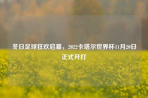 冬日足球狂欢启幕，2022卡塔尔世界杯11月20日正式开打