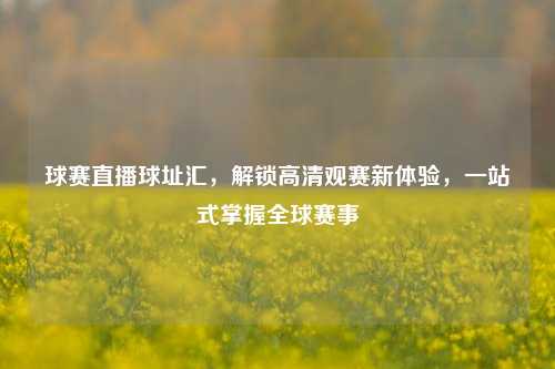 球赛直播球址汇，解锁高清观赛新体验，一站式掌握全球赛事