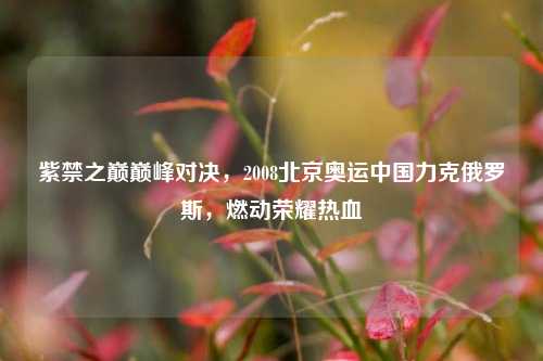 紫禁之巅巅峰对决，2008北京奥运中国力克俄罗斯，燃动荣耀热血
