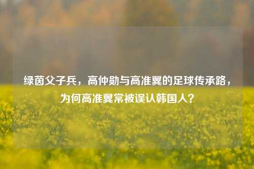 绿茵父子兵，高仲勋与高准翼的足球传承路，为何高准翼常被误认韩国人？