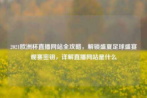 2021欧洲杯直播网站全攻略，解锁盛夏足球盛宴观赛密钥，详解直播网站是什么