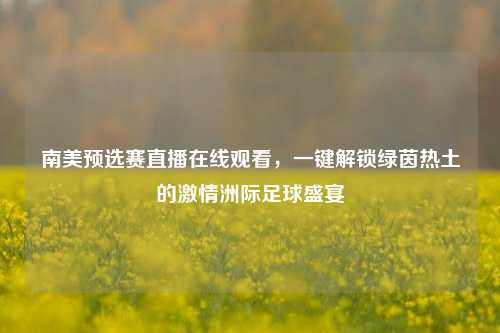 南美预选赛直播在线观看,一键解锁绿茵热土的激情洲际足球盛宴