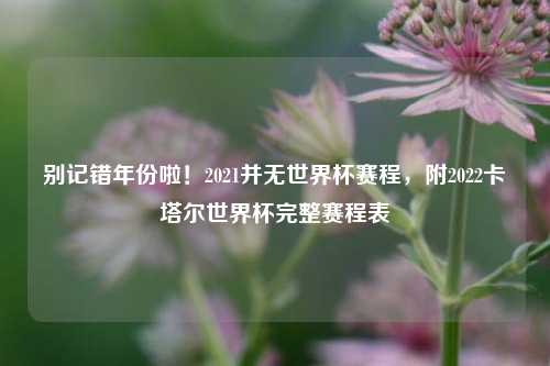 别记错年份啦!2021并无世界杯赛程,附2022卡塔尔世界杯完整赛程表