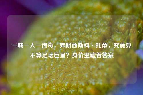 一城一人一传奇，弗朗西斯科·托蒂，究竟算不算足坛巨星？身价里藏着答案
