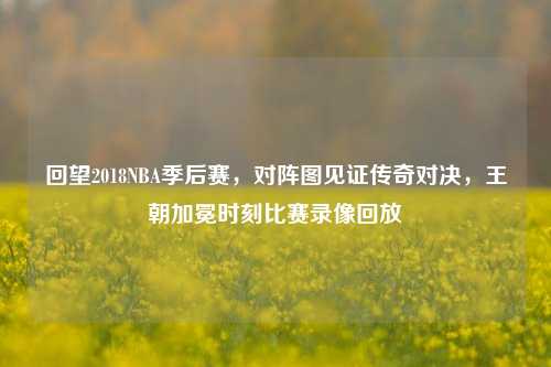 回望2018NBA季后赛，对阵图见证传奇对决，王朝加冕时刻比赛录像回放