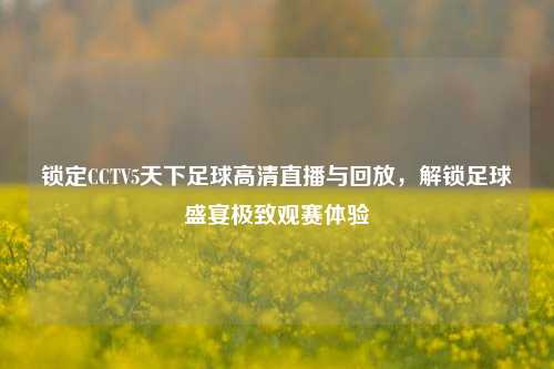 锁定CCTV5天下足球高清直播与回放，解锁足球盛宴极致观赛体验