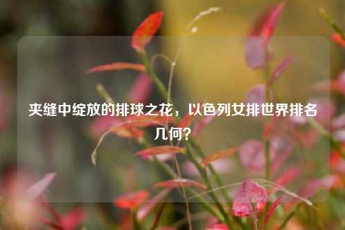 夹缝中绽放的排球之花,以色列女排世界排名几何?