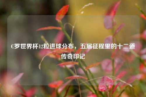 C罗世界杯12粒进球分布，五届征程里的十二道传奇印记