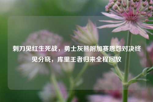 刺刀见红生死战，勇士灰熊附加赛恩怨对决终见分晓，库里王者归来全程回放