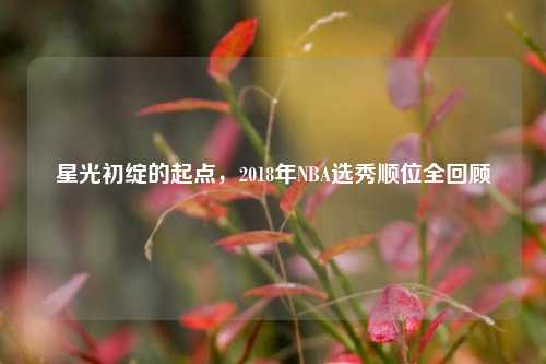 星光初绽的起点，2018年NBA选秀顺位全回顾