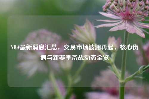 NBA最新消息汇总,交易市场波澜再起,核心伤病与新赛季备战动态全览