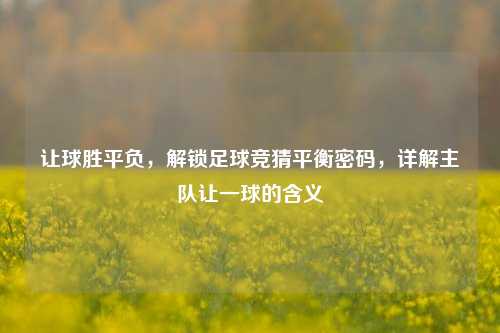 让球胜平负，解锁足球竞猜平衡密码，详解主队让一球的含义