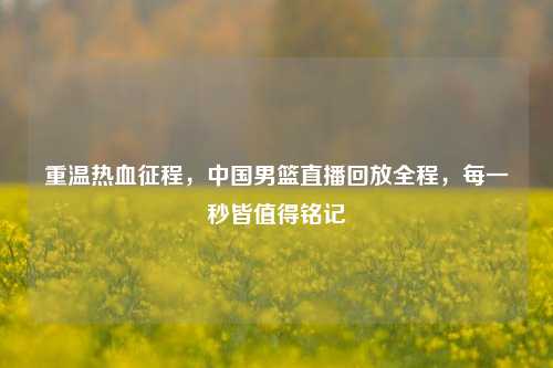 重温热血征程,中国男篮直播回放全程,每一秒皆值得铭记