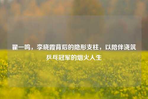 翟一鸣，李晓霞背后的隐形支柱，以陪伴浇筑乒乓冠军的烟火人生