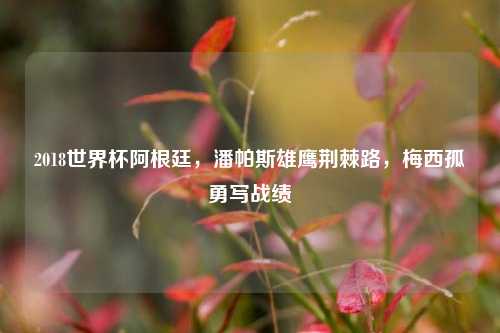 2018世界杯阿根廷,潘帕斯雄鹰荆棘路,梅西孤勇写战绩