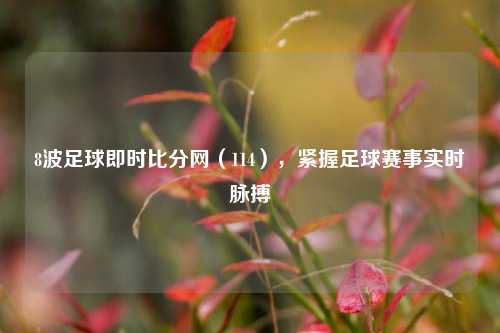 8波足球即时比分网（114），紧握足球赛事实时脉搏