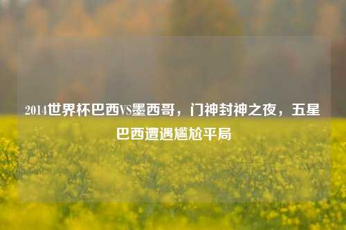 2014世界杯巴西VS墨西哥，门神封神之夜，五星巴西遭遇尴尬平局