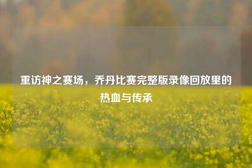 重访神之赛场，乔丹比赛完整版录像回放里的热血与传承