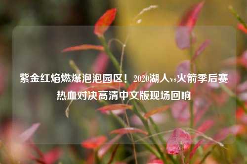 紫金红焰燃爆泡泡园区！2020湖人vs火箭季后赛热血对决高清中文版现场回响