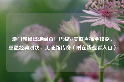 豪门碰撞燃爆绿茵!巴黎VS曼联直播全攻略,重温经典对决,见证新传奇(附在线观看入口)