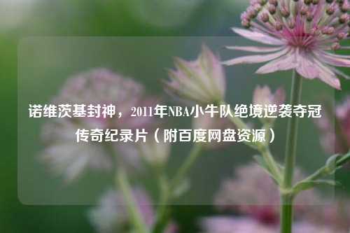 诺维茨基封神，2011年NBA小牛队绝境逆袭夺冠传奇纪录片（附百度网盘资源）