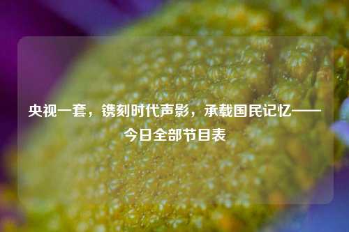 央视一套，镌刻时代声影，承载国民记忆——今日全部节目表