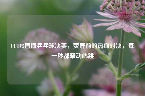 CCTV5直播乒乓球决赛，荧屏前的热血对决，每一秒都牵动心跳