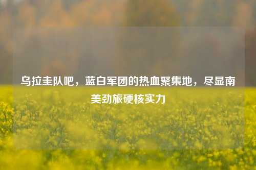 乌拉圭队吧，蓝白军团的热血聚集地，尽显南美劲旅硬核实力