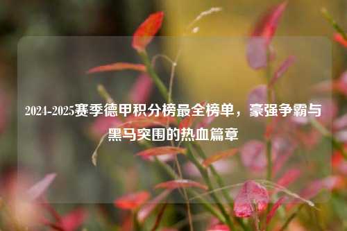 2024-2025赛季德甲积分榜最全榜单，豪强争霸与黑马突围的热血篇章