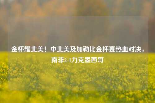金杯耀北美！中北美及加勒比金杯赛热血对决，南非2-1力克墨西哥