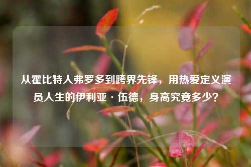 从霍比特人弗罗多到跨界先锋,用热爱定义演员人生的伊利亚·伍德,身高究竟多少?