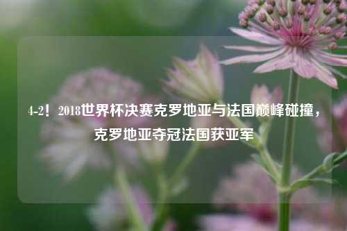 4-2！2018世界杯决赛克罗地亚与法国巅峰碰撞，克罗地亚夺冠法国获亚军