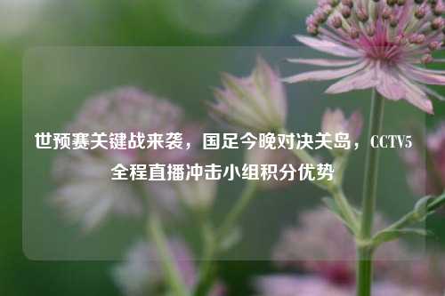 世预赛关键战来袭,国足今晚对决关岛,CCTV5全程直播冲击小组积分优势