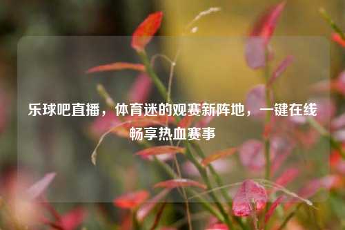 乐球吧直播，体育迷的观赛新阵地，一键在线畅享热血赛事
